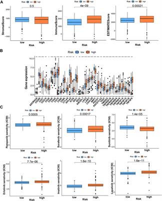 T cell proliferation-related genes: Predicting prognosis, identifying the cold and hot tumors, and guiding treatment in clear cell renal cell carcinoma